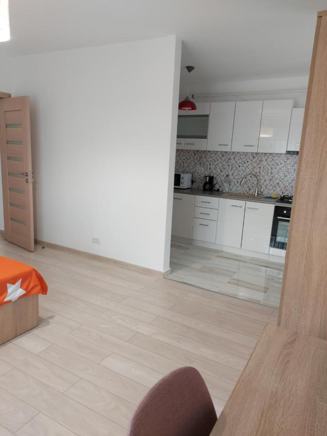 Bya Brown Apartment Valea Lupului  Ngoại thất bức ảnh