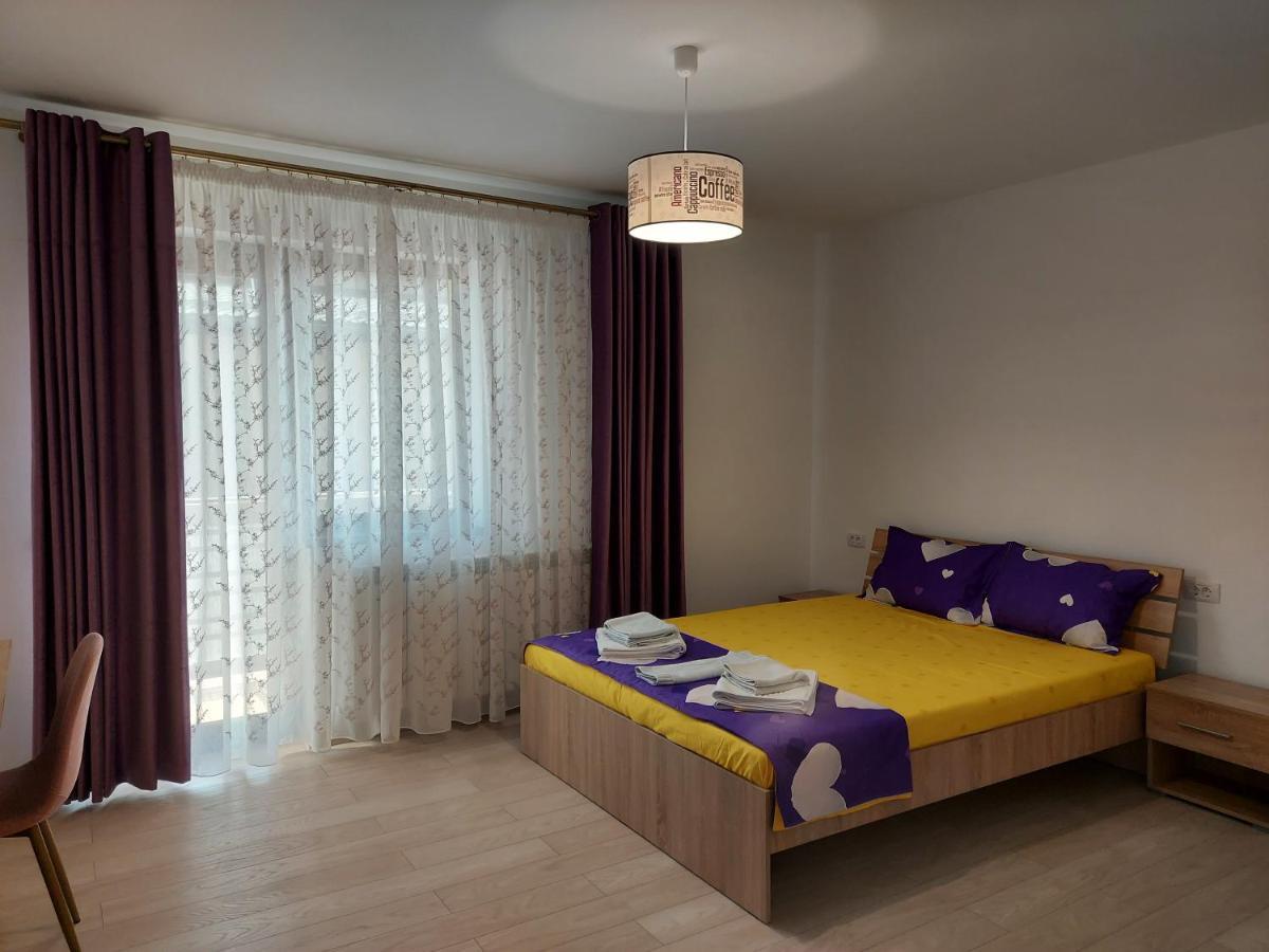 Bya Brown Apartment Valea Lupului  Ngoại thất bức ảnh